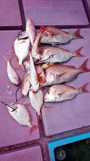 ���i�C���[�W